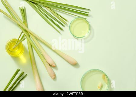 Oli essenziali su piastra di Petri e bottiglie di vetro, radice di citronella fresca e foglie su fondo chiaro. Concetto minimo per la pubblicità del prodotto di limone Foto Stock