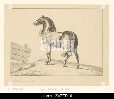 Hinnikend Horse, Reinier Vinkeles (i), dopo Paulus Potter, 1751 - 1816 stampa del cavallo da incisione su carta. animali (+ mezzi di comunicazione udibili degli animali: ruggito, pianto, canto, abbaiamento, mewing, vicino, segnale acustico, ecc.) Foto Stock