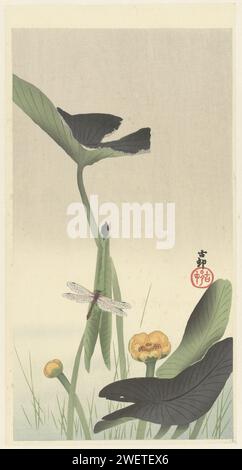 Libelle in Lotus, c. 1900 - c. 1930 stampa Lotus con fiori gialli; Libelle su foglia piegata. colore carta fiori tagliati a legna. insetti: dragon-fly Foto Stock