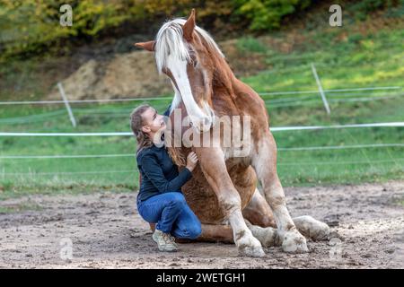 Una giovane donna adulta in allenamento di tiro a cavallo con il suo cavallo castagno marroni sangue freddo in autunno all'aperto Foto Stock