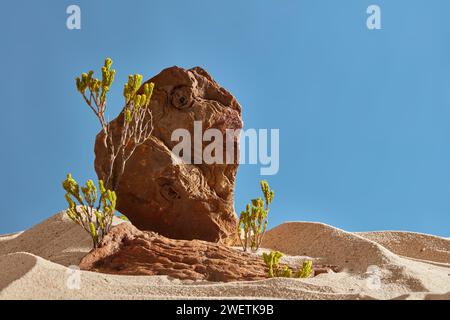 Scenario naturalistico del deserto con dune di sabbia, grandi rocce brune e alberi verdi su sfondo blu. Scena per pubblicizzare prodotti o cosmetici con co naturale Foto Stock