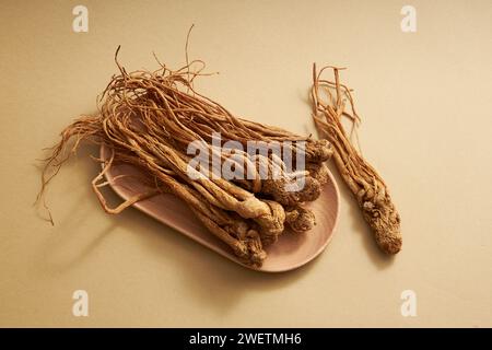 Vista dall'alto delle radici dell'angelica sinensis su piatti di legno su sfondo marrone. Questo è considerato un tipo di ginseng per le donne, ha l'effetto di regolare Foto Stock