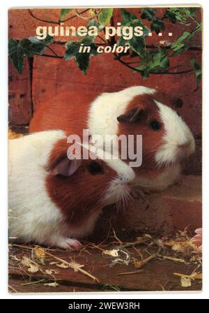 Guinea Pigs in Color, libro cartaceo, di Edwin e Rosenblum, 1969 Foto Stock