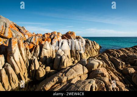 Larapuna o la Baia degli incendi e il Parco Nazionale di Mount William, Tasmania, Australia Foto Stock