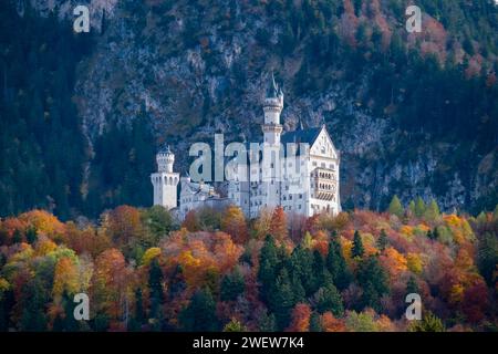 Il castello di Neuschwanstein, circondato da alberi colorati, in autunno. Foto Stock