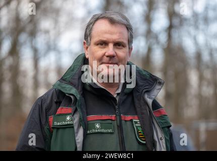 Dresda, Germania. 25 gennaio 2024. Thomas Rother dell'impresa statale di Sachsenforst si trova in una sezione di foresta nella brughiera di Dresda in occasione della 25a asta di segheria e legname 2024. I preziosi tronchi provenienti da foreste gestite in modo sostenibile in Sassonia vengono messi all'asta nel settore del legname. Credito: Robert Michael/dpa/Alamy Live News Foto Stock