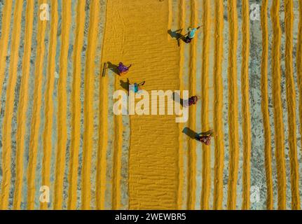 Vista aerea di milioni di grani di riso sono disposti ad asciugare in un mulino mentre i lavoratori li spazzolano con foglie al sole caldo, Dhamrai, Dacca, Bangladesh. Foto Stock