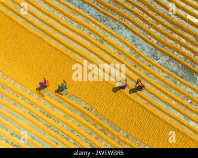 Vista aerea di milioni di grani di riso sono disposti ad asciugare in un mulino mentre i lavoratori li spazzolano con foglie al sole caldo, Dhamrai, Dacca, Bangladesh. Foto Stock