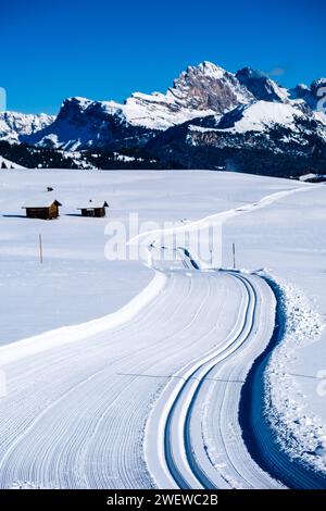 Piste da sci di fondo su pascoli innevati all'Alpe di Siusi in inverno, cime del Seceda, gruppo Odle e Pitschberg in lontananza. Foto Stock