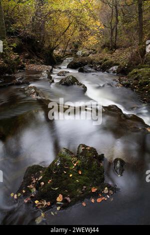 Aira Beck che attraversa i boschi, vicino a Aira Force, nell'English Lake District Foto Stock