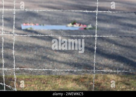 Weimar, Germania. 27 gennaio 2024. I fiori giacciono su una targa commemorativa sul sito dell'ex campo di concentramento di Buchenwald. Nell'ottobre 2005, le Nazioni Unite hanno proclamato il gennaio 27 come giornata della memoria dell'Olocausto. Il 27 gennaio 1945, i soldati dell'Armata Rossa liberarono i sopravvissuti del campo di concentramento e sterminio tedesco di Auschwitz nella Polonia occupata. Credito: Bodo Schackow/dpa/Alamy Live News Foto Stock