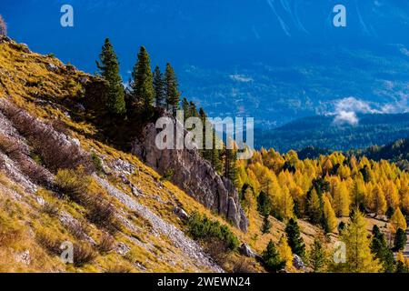 Larici e pini colorati, che crescono su un pendio roccioso sotto la formazione rocciosa delle cinque Torri in autunno. Foto Stock
