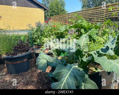 I vari fiori e piante esposti in un bellissimo giardino Foto Stock