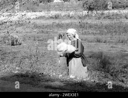 Contea di Vrancea, Romania, circa 1994. Donna che gira la lana alla vecchia maniera mentre cura le pecore in un pascolo. Foto Stock