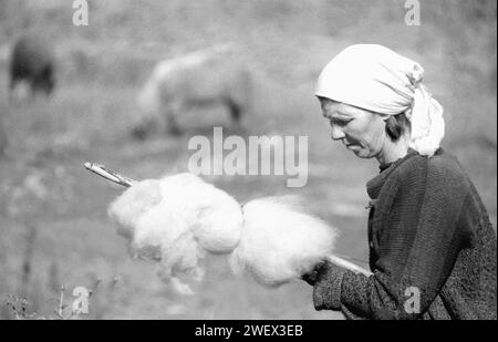 Contea di Vrancea, Romania, circa 1994. Donna che gira la lana alla vecchia maniera mentre cura le pecore in un pascolo. Foto Stock