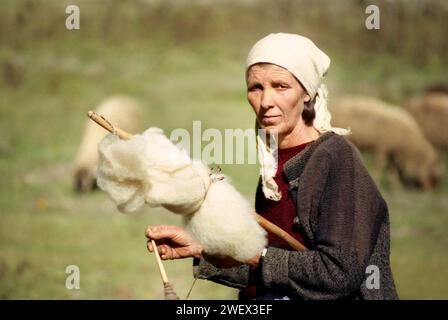 Contea di Vrancea, Romania, circa 1994. Donna che gira la lana alla vecchia maniera mentre cura le pecore in un pascolo. Foto Stock