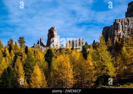 Coloratissimi larici sulle pendici intorno al passo Falzarego in autunno, pareti rocciose e cime della formazione rocciosa cinque Torri in lontananza. Cortin Foto Stock