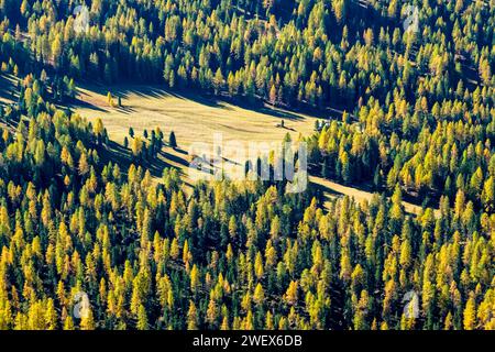 Vista aerea dei variopinti larici e pini sulle pendici del passo Falzarego in autunno. Cortina d Ampezzo Veneto Italia FB 2023 3047 Foto Stock