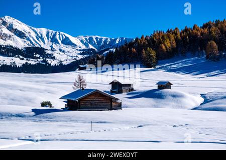 Campagna agricola collinare con alberi, capanne in legno e pascoli innevati presso l'Alpe di Siusi, in inverno, in lontananza la vetta del Sasso piatto. Kas Foto Stock
