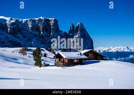 Campagna agricola collinare con alberi, capanne in legno e pascoli innevati presso l'Alpe di Siusi, in inverno, le vette del Monte Petz e dello Sciliar nel di Foto Stock