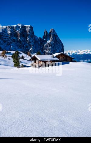 Campagna agricola collinare con alberi, capanne in legno e pascoli innevati presso l'Alpe di Siusi, in inverno, le vette del Monte Petz e dello Sciliar nel di Foto Stock