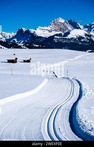 Piste da sci di fondo su pascoli innevati all'Alpe di Siusi in inverno, cime del Seceda, gruppo Odle e Pitschberg in lontananza. Kastelruth TR Foto Stock