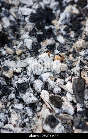 Carbone per cucinare shish kebab e barbecue. Carboni caldi e cenere bollenti mostrano la texture della superficie artistica. Messa a fuoco selettiva. Foto Stock