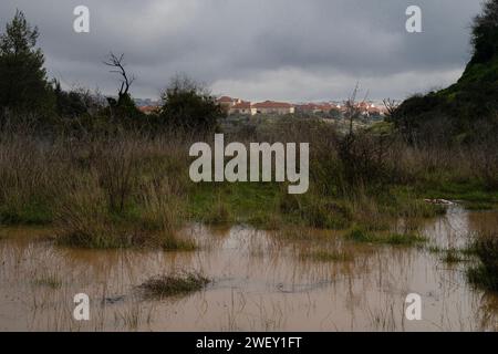 Una grande pozzanghera di acqua piovana in un giacimento vicino a Gerusalemme, Israele, in una giornata invernale coperta. Foto Stock