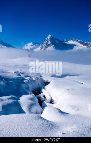 Paesaggio invernale con pascoli innevati sopra il passo Rolle, in lontananza le vette della cima Val Cigolera e del Colbricon Ovest. Foto Stock