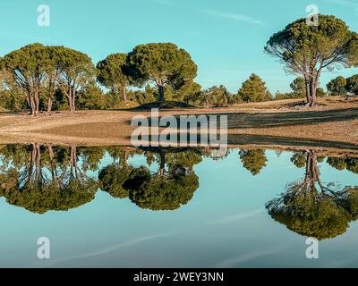 Viaggio in Portogallo natura viaggio Alentejo Turismo rurale Vista panoramica di Albufeira da Barragem do Pego do Altar a Santa Susana Portogallo Foto Stock