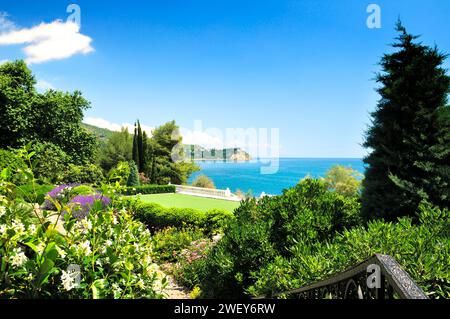 Giardino botanico Park Aivazovsky nel villaggio di Partenit. Estate in Crimea. Sul Mar Nero Foto Stock