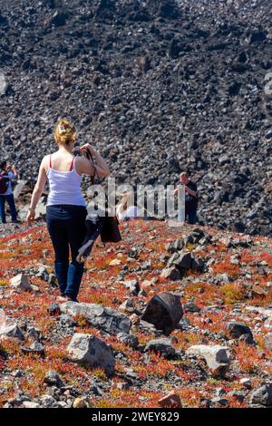 Tour turistico a piedi su suolo vulcanico, su fiori rossi e arancioni selvatici e aspro sfondo vulcanico, presso il vulcano di Santorini, in Grecia, in Europa. Foto Stock