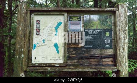 Piante della foresta pluviale a Ketchikan, Alaska Foto Stock