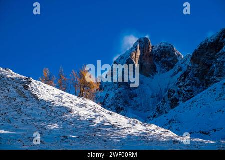 La cima innevata del Cimon della Pala del gruppo Pala, vista da sotto il passo Rolle dopo l'alba in inverno. San Martino di Castrozza Tren Foto Stock