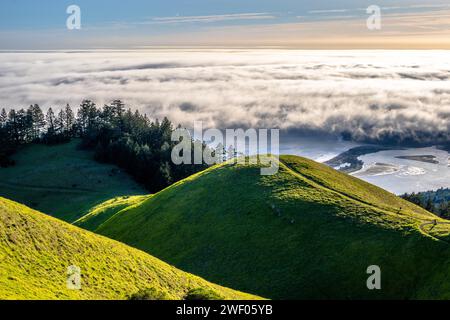 MT Tam, colline verdi e nebbia sulla costa sopra Stinson Beach nella Marin County, nella San Francisco Bay area Foto Stock