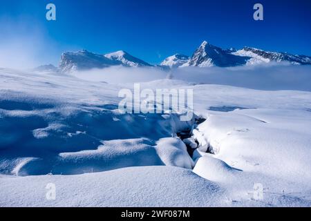 Paesaggio invernale con pascoli innevati sopra il passo Rolle, cime di Cavallazza, cima Val Cigolera e Colbricon Ovest in lontananza. San Foto Stock