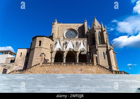 Vista frontale della Basilica di Santa Maria De la Seu sotto il sole e le nuvole di luce con scale in primo piano e senza passanti Foto Stock