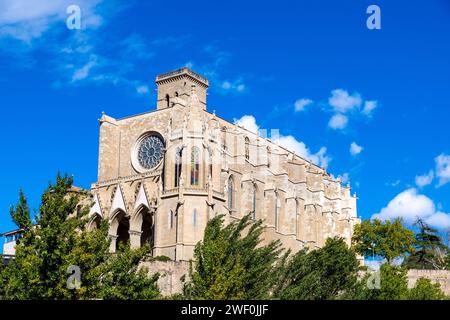 Retro della basilica di Santa Maria De la Seu al sole e nuvole di luce con alberi in primo piano Foto Stock