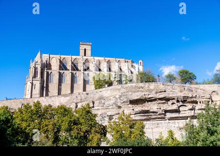 Retro della basilica di Santa Maria De la Seu, al sole e nuvole di luce con alberi e rocce in primo piano Foto Stock