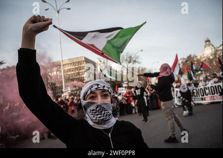 Madrid, Spagna. 27 gennaio 2024. Una donna solleva il pugno durante una manifestazione a sostegno del popolo palestinese. Migliaia di persone hanno marciato attraverso il centro della città per chiedere un cessate il fuoco a Gaza mentre continuano gli attacchi israeliani. Oltre 26.000 palestinesi sono stati uccisi nella Striscia di Gaza dal 7 ottobre 2023, a seguito di attacchi aerei israeliani e attacchi durante il conflitto tra Israele e Palestina. Crediti: Marcos del Mazo/Alamy Live News Foto Stock