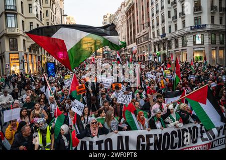 Madrid, Spagna. 27 gennaio 2024. Persone che sventolano bandiere palestinesi protestano durante una manifestazione a sostegno del popolo palestinese. Migliaia di persone hanno marciato attraverso il centro della città per chiedere un cessate il fuoco a Gaza mentre continuano gli attacchi israeliani. Oltre 26.000 palestinesi sono stati uccisi nella Striscia di Gaza dal 7 ottobre 2023, a seguito di attacchi aerei israeliani e attacchi durante il conflitto tra Israele e Palestina. Crediti: Marcos del Mazo/Alamy Live News Foto Stock