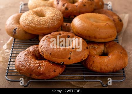 Varietà di bagel appena sfornati per colazione con uva passa di sesamo e cannella Foto Stock