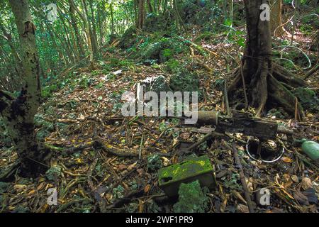 WW2 American M1917 Browning machine gun nella giungla dove fu abbandonata nel 1944 nella battaglia di Peleliu. Peleliu, Isole Palau, Micronesia Foto Stock