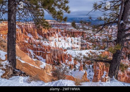 Canyon dal Rim Trail tra Sunrise e Sunset Points, Bryce Canyon National Park, Utah. Foto Stock