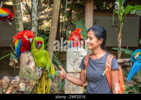 I turisti sono circondati da pappagalli a Macaw Mountain, Copan Ruinas, Honduras Foto Stock
