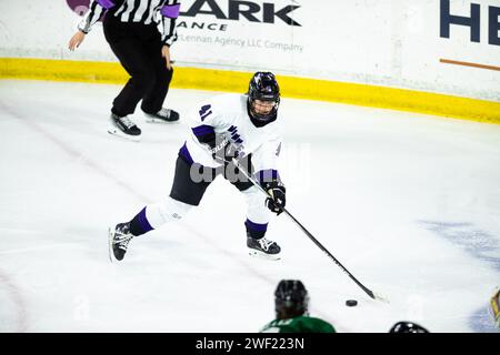 Tsongas Center. 27 gennaio 2024. Massachusetts, USA; l'attaccante del Minnesota Denisa Krizova (41) durante una partita della stagione regolare della PWHL tra Boston e Minnesota al Tsongas Center. (c) Burt Granofsky/CSM/Alamy Live News Foto Stock