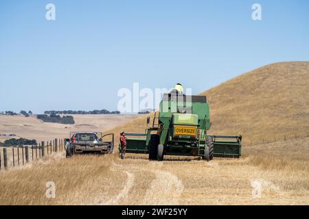 Vecchie mietitrebbie in un campo in un'azienda agricola Foto Stock