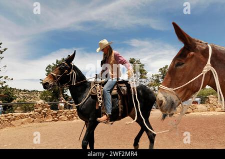 I ciclisti in muli sul sentiero escursionistico South Kaibab Trail sopra la cresta di Cedar Ridge, il Grand Canyon, il Grand Canyon National Park, Arizona, Stati Uniti Foto Stock