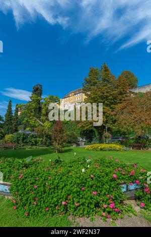 Meersburg sul lago di Costanza, azienda vinicola statale, giardini, Baden-Wuerttemberg, Germania Foto Stock