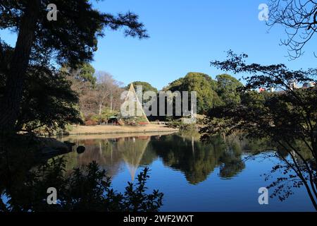 Daisensui Pond e Yukitsuri (impiccagione di neve) nel Rikugien Garden, Tokyo, Giappone Foto Stock